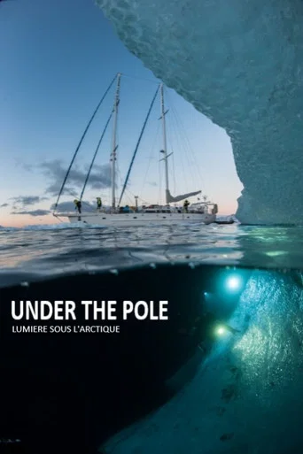 Movie poster for Under The Pole : Lumière Sous l'Arctique (2017)