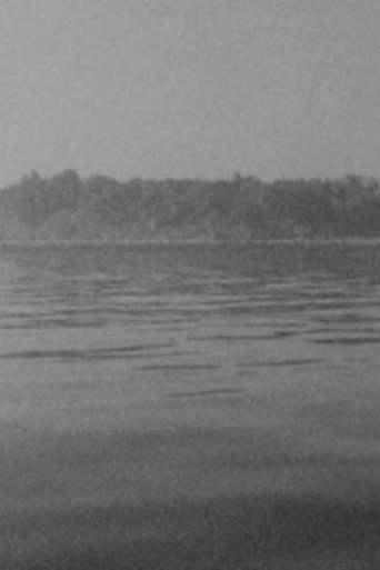 Movie poster for Two Islands (2013)