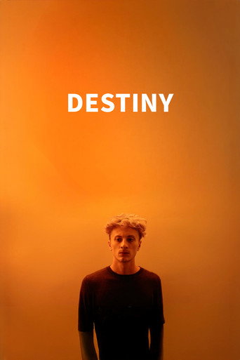 Movie poster for Destiny