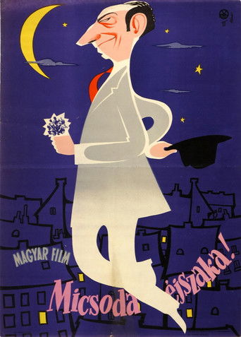 What a Night! poster