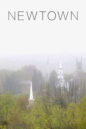 Movie poster for Newtown (2016)
