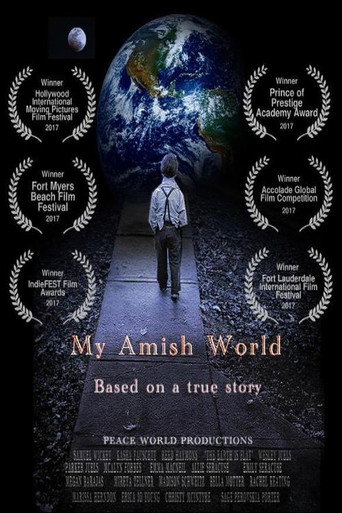 Movie poster for My Amish World (2017)