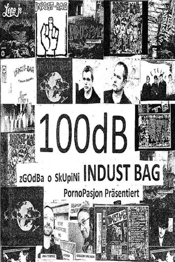 Movie poster for 100dB Indust-bag (2024)