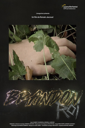 Movie poster for Brandon Roi (2022)