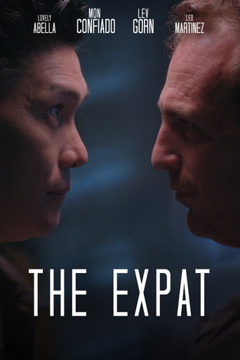 The Expat poster