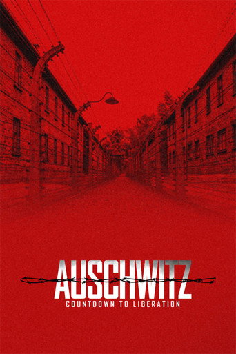 Movie poster for Auschwitz: Countdown To Liberation (2025)