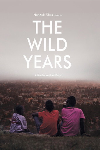Movie poster for The Wild Years (2013)