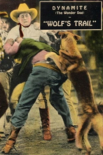 Movie poster for Wolf's Trail (1927)