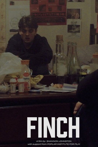 Movie poster for Finch