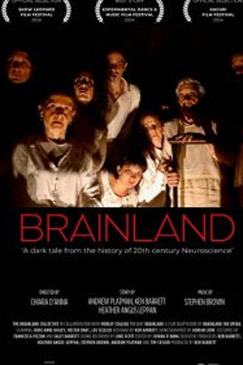 Brainland poster