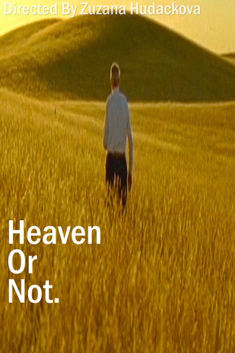 Heaven Or Not poster