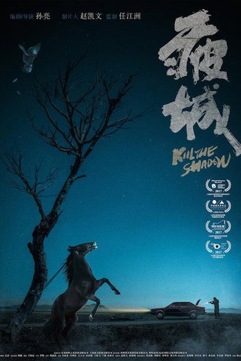 Movie poster for Kill the Shadow (2020)