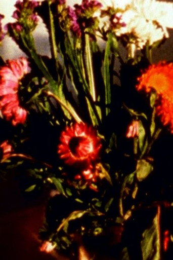 Movie poster for Time Being I – IV (2007)