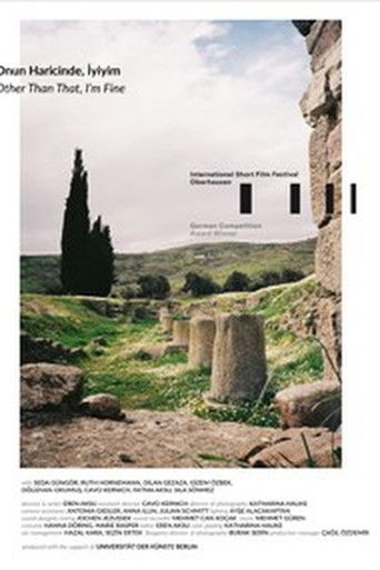 Other Than That, I'm Fine poster