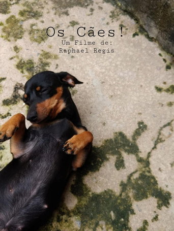 Movie poster for Os Cães! (2022)