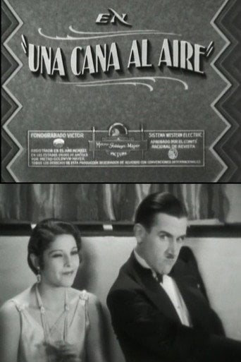 Movie poster for A gray in the air (1930)