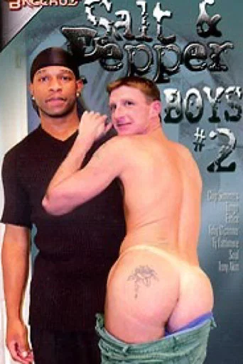 Movie poster for Salt & Pepper Boys 2 (2002)