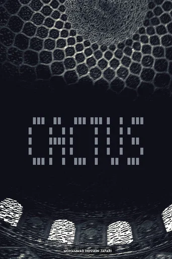 Movie poster for Cactus (2010)
