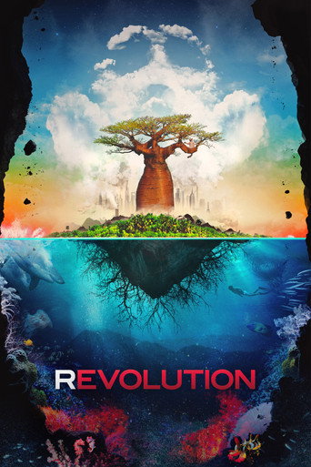 Movie poster for Revolution (2012)