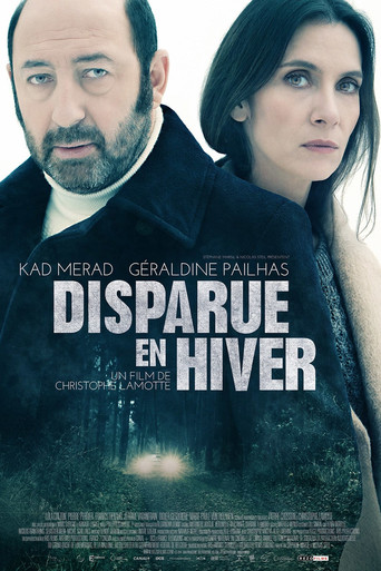 Disappeared in Winter poster