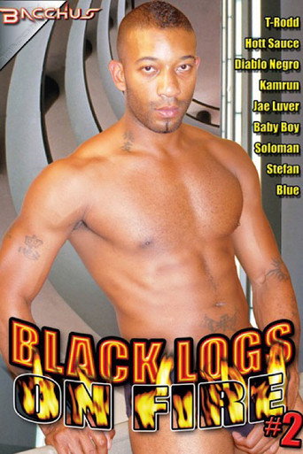Movie poster for Black Logs on Fire 2 (2012)
