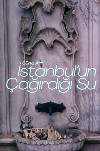 Movie poster for İstanbul'un Çağırdığı Su (1977)