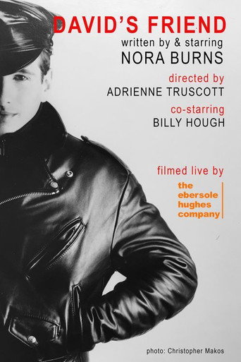 David's Friend poster