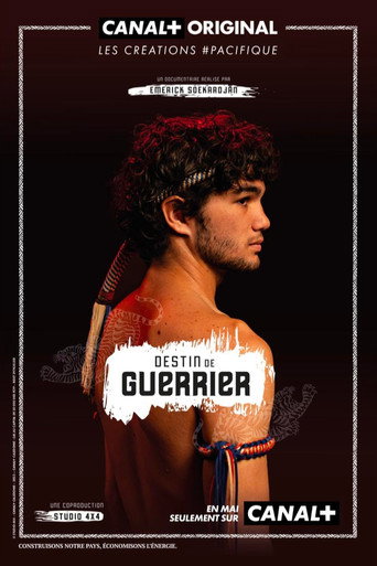 Movie poster for Destin de guerrier (2024)