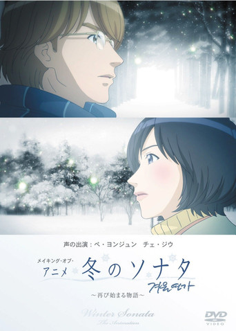 Winter Sonata poster