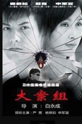 大案组 poster