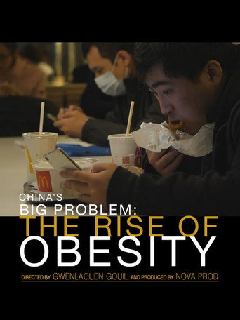 Movie poster for China's Big Problem: The Rise of Obesity (2018)
