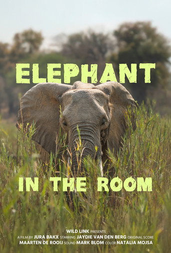 Movie poster for Elephant in the Room (2026)