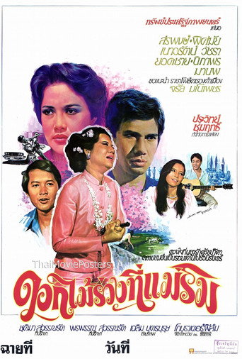 Movie poster for ดอกไม้ร่วงที่แม่ริม (1979)