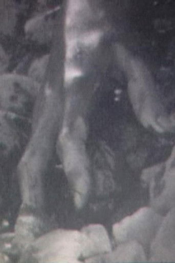 Broken Flesh Ecstasy poster