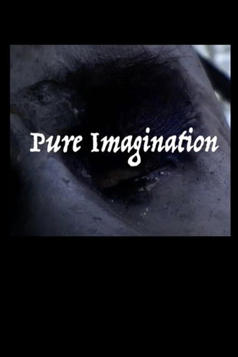 Pure Imagination poster