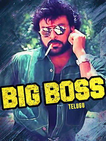 Movie poster for Big Boss (1995)