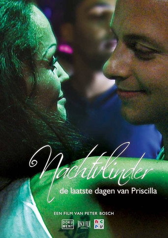 Movie poster for Nachtvlinder: De Laatste Dagen van Priscilla (2013)