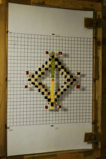 Movie poster for 8 Frame Grid (2010)