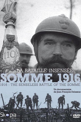 Movie poster for Somme 1916, la bataille insensée (2016)