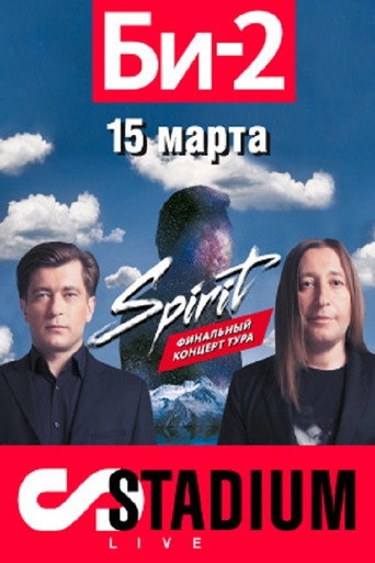Movie poster for БИ-2: Spirit. Stadium Live (2013)