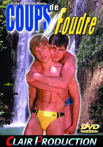 Movie poster for Coups de foudre (2004)