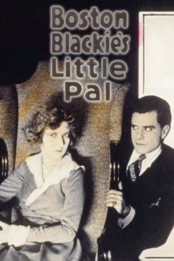 Movie poster for Boston Blackie's Little Pal (1918)