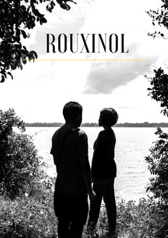 Movie poster for Rouxinol (2023)