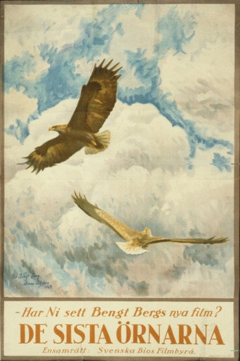 Movie poster for The Tale of the Last Eagles (1923)