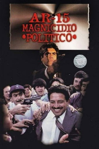 AR-15 Comando Implacable II poster