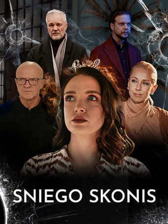 Sniego skonis poster