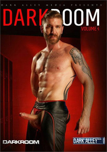 Movie poster for DarkRoom 4 (2013)