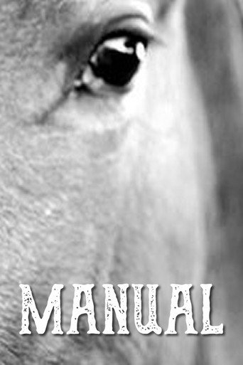 Movie poster for Manual (2016)