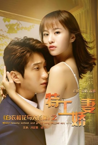 Perfect Match: True Love poster