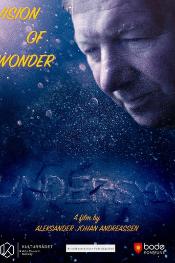 Movie poster for Vision of Wonder (2017)